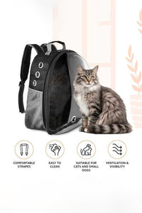 Transparent Pet Carry Bag