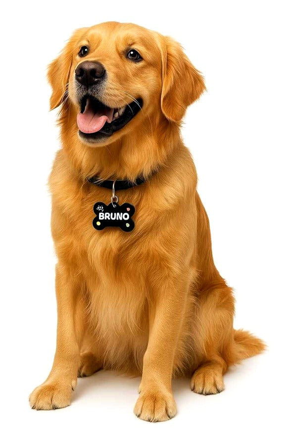 Customized Pet Name ID Tag