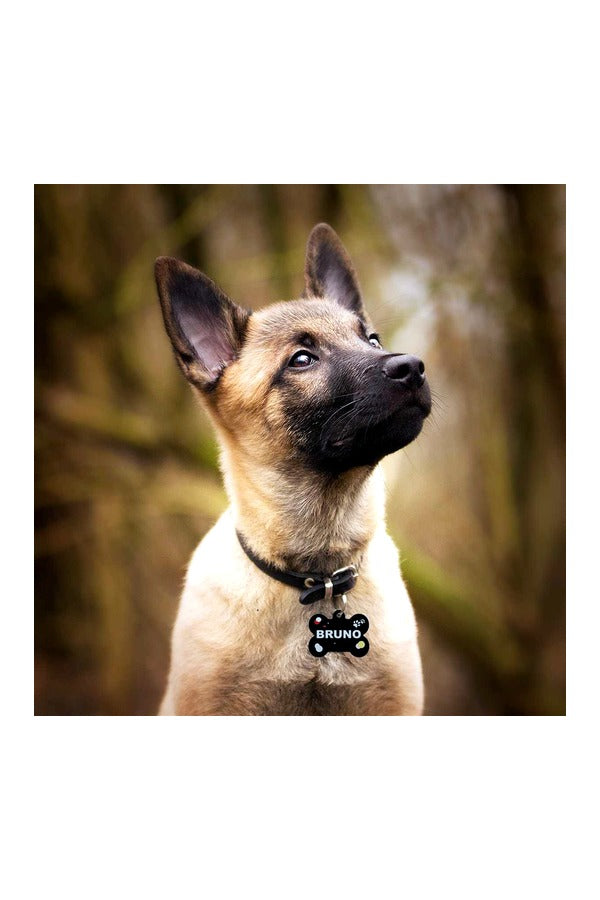 Customized Pet Name ID Tag