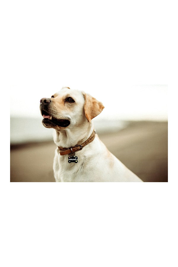 Customized Pet Name ID Tag