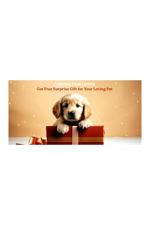Customized Pet Name ID Tag