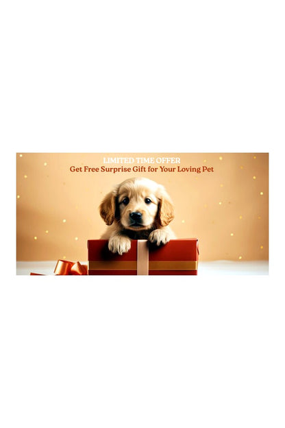 Customized Pet Name ID Tag
