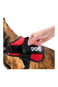 Customized Pet Name Velcro Patch