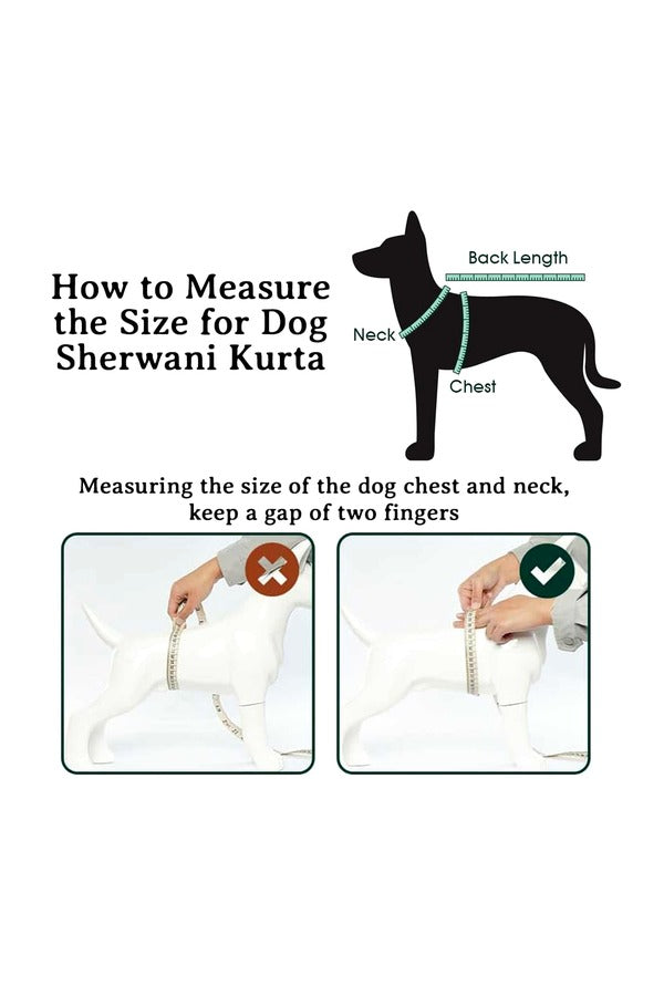 Dog Sherwani Kurta