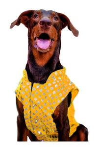 Dog Sherwani Kurta