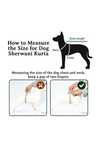 Dog Sherwani Kurta