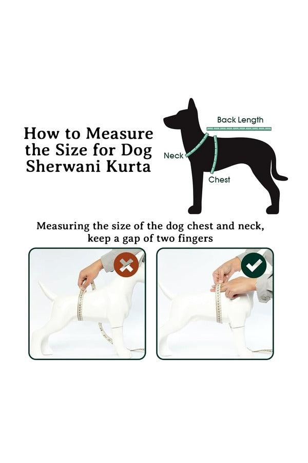Dog Sherwani Kurta