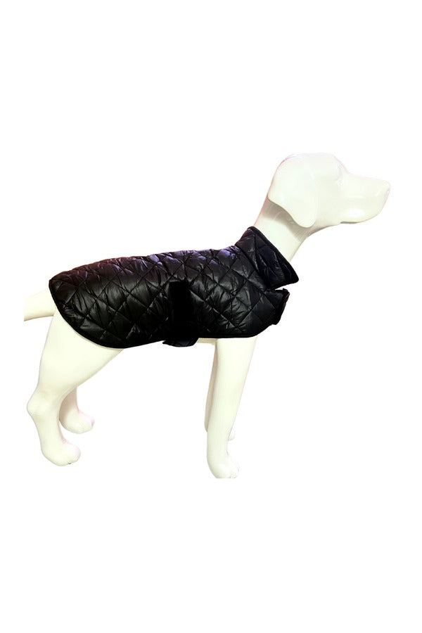 Dog Winter Jacket