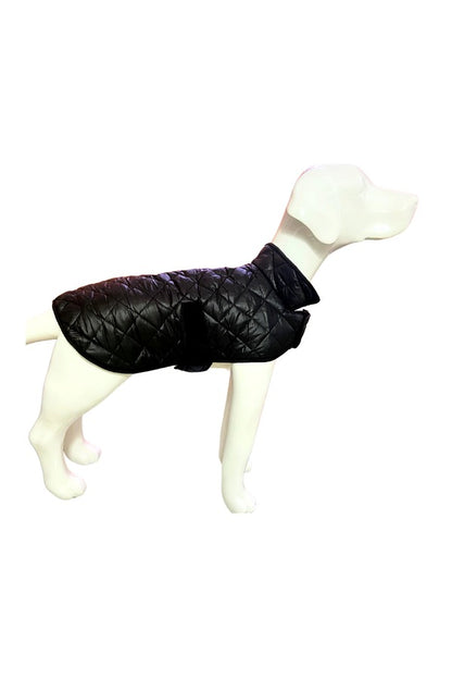 Dog Winter Jacket