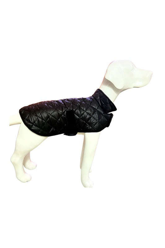 Dog Winter Jacket