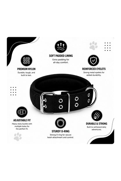 Tactical Collar - Tactical Buckle