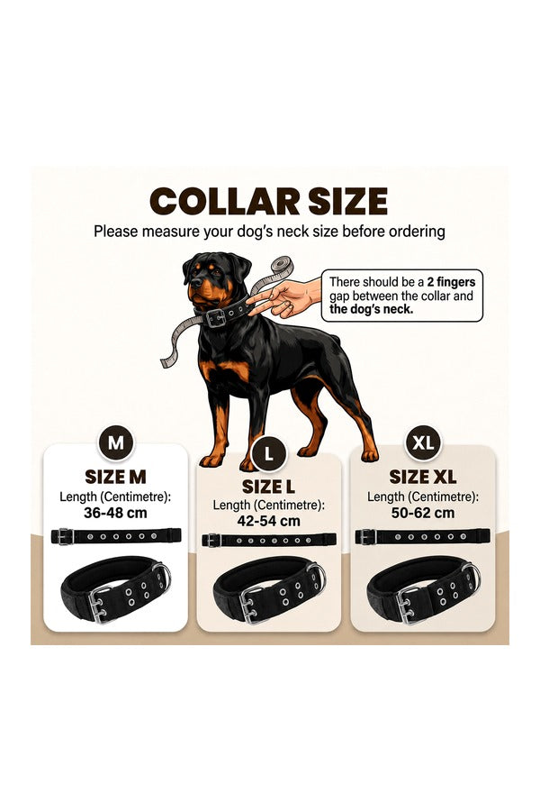 Tactical Collar - Tactical Buckle