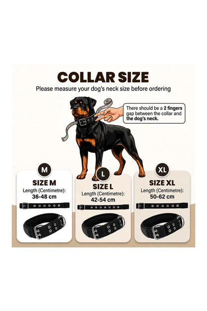 Tactical Collar - Tactical Buckle