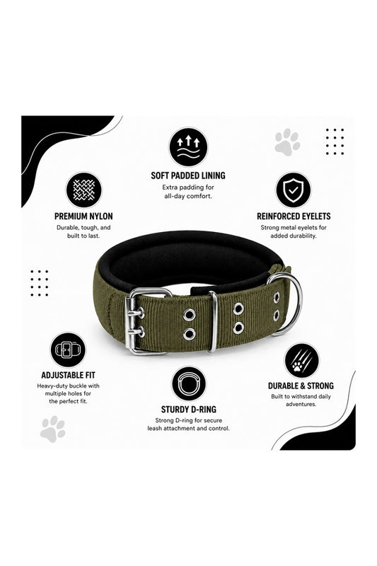 Tactical Collar - Double-Pin Buckle