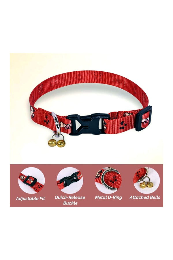 Printed Puppy Collar + Leash Set