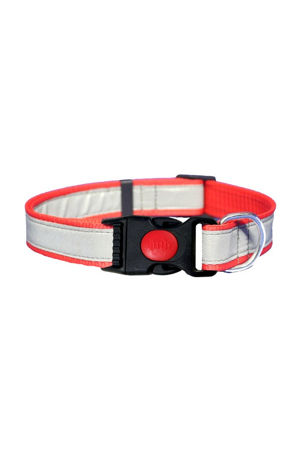 Reflective Collar - Plain Buckle