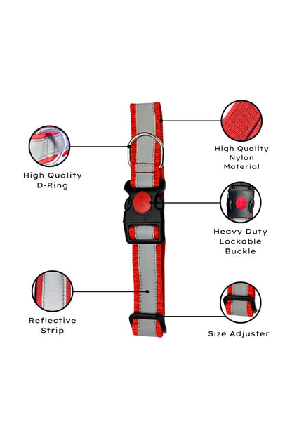 Reflective Collar - Plain Buckle
