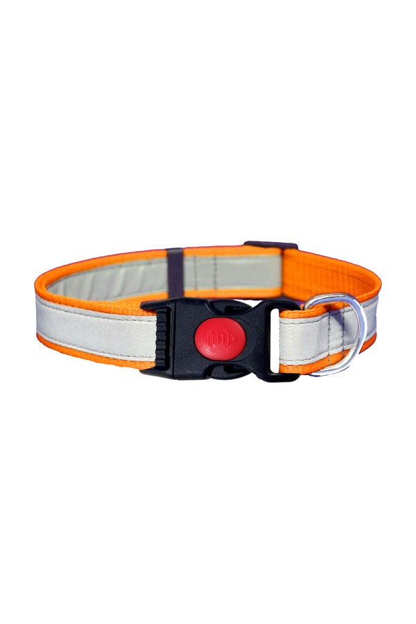 Reflective Collar - Plain Buckle