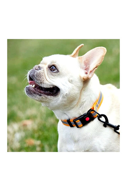 Reflective Collar & Leash - Button Lock