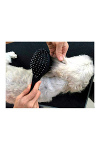 Plastic Pin Brush - AC