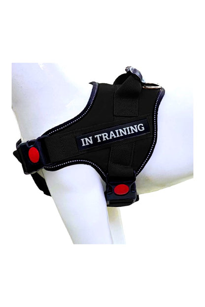 Q-Type Dog Harness
