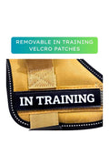 Q-Type Dog Harness