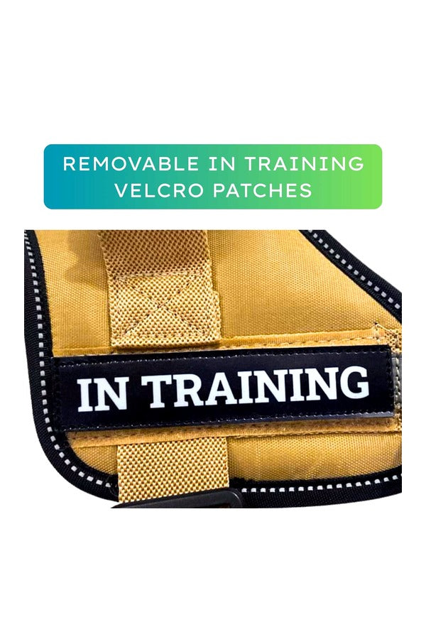 Q-Type Dog Harness