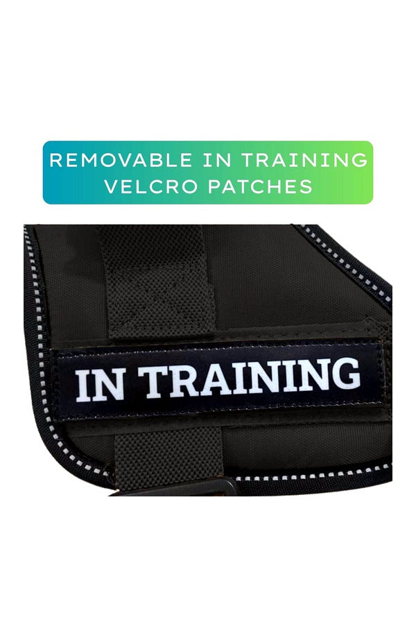 Q-Type Dog Harness