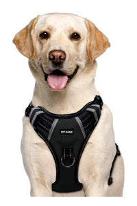 Dog Chest Belt Harness