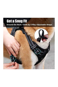 Dog Chest Belt Harness