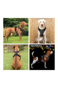 Dog Chest Belt Harness
