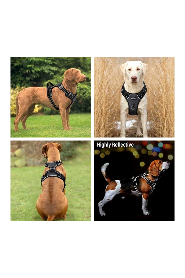 Dog Chest Belt Harness