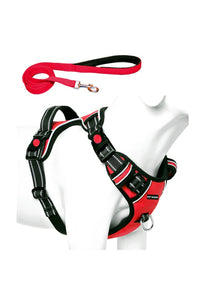 Dog Chest Belt Harness