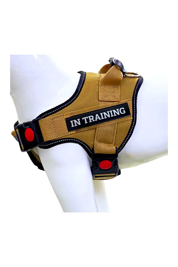 Dog Body Belt Harness