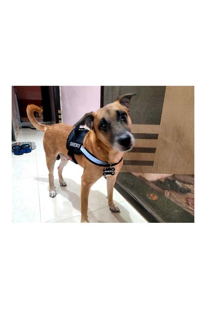 Dog Fur Harness Combo Set
