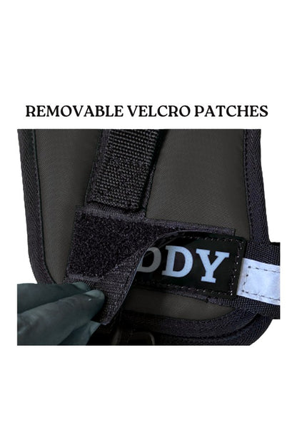 Soft Padded Dog Harness + Leash Set