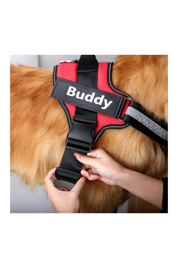 Soft Padded Dog Harness + Leash Set