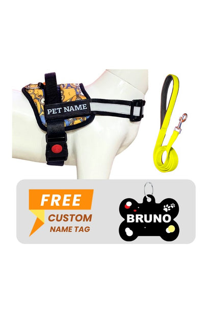 Soft Padded Dog Harness + Leash Set