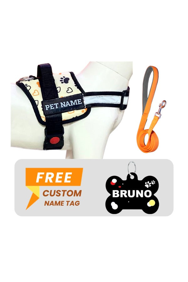 Soft Padded Dog Harness + Leash Set