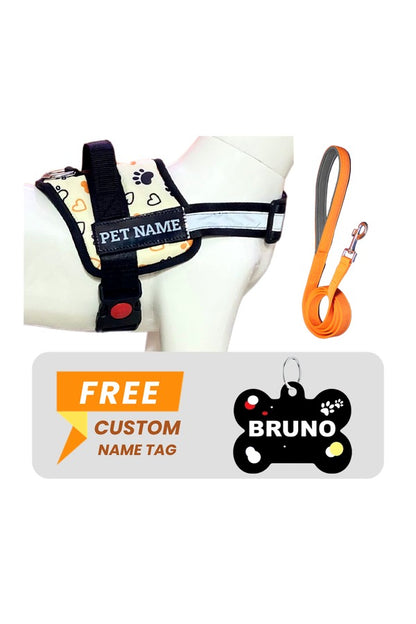 Soft Padded Dog Harness + Leash Set