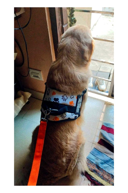 Soft Padded Dog Harness + Leash Set