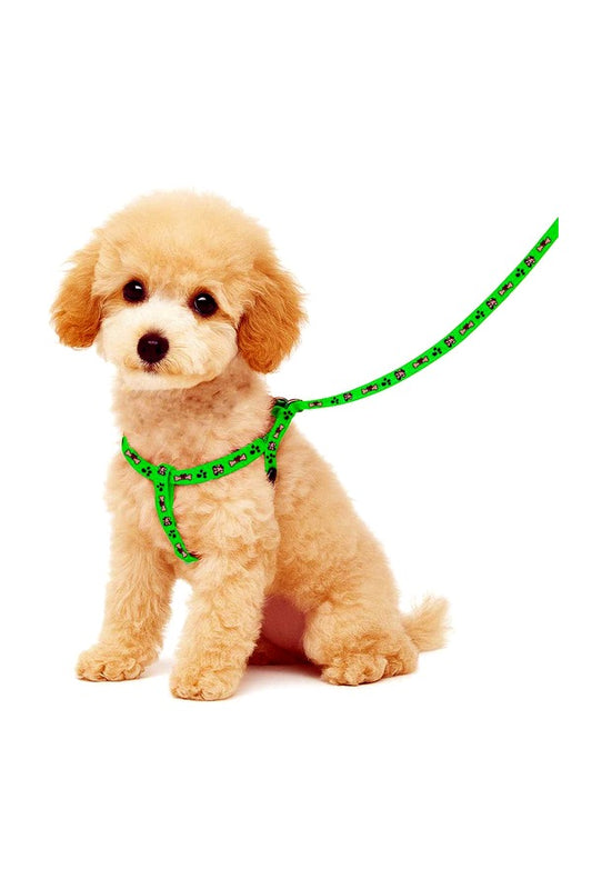 Printed Puppy Harness + Leash Set