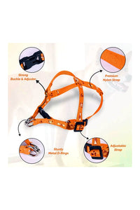 Printed Puppy Harness + Leash Set