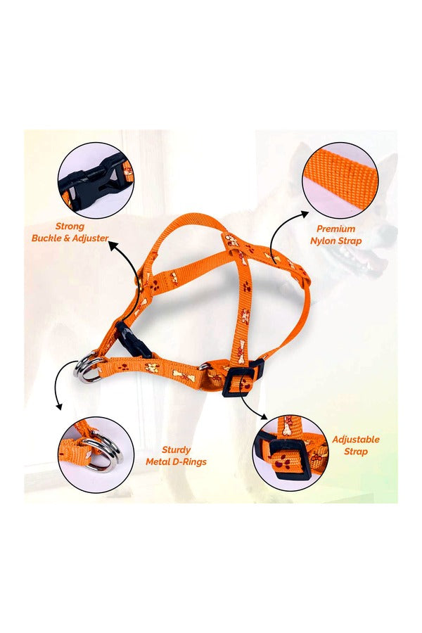 Printed Puppy Harness + Leash Set