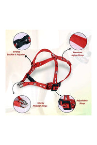 Printed Puppy Harness + Leash Set