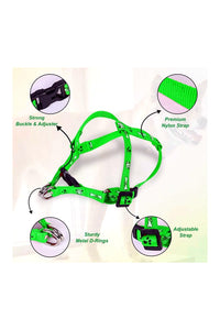 Printed Puppy Harness + Leash Set