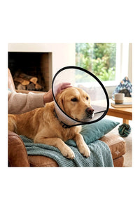 Pet E-Collar (Recovery Cone)