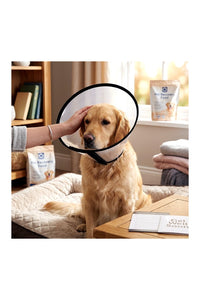 Pet E-Collar (Recovery Cone)