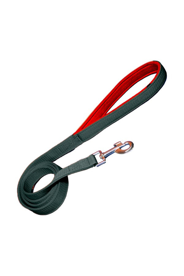 Dog Leash - Padded