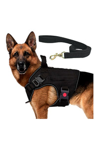 Dog Army Print Leash